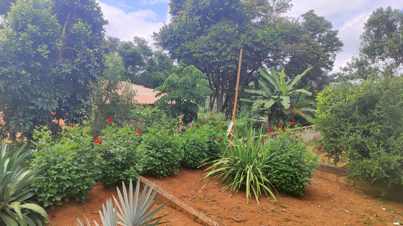 Sítio à venda Centro com 2000m² e 2 quartos por R$ 220.000 - 218517199-1712513214942.jpg