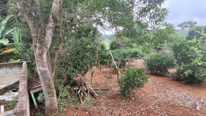Sítio à venda Centro com 2000m² e 2 quartos por R$ 220.000 - 225264430-1712513215849.jpg