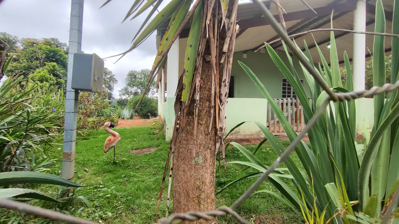 Sítio à venda Centro com 2000m² e 2 quartos por R$ 220.000 - 274272747-1712513216662.jpg