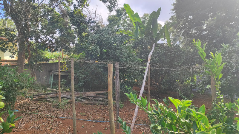 Sítio à venda Centro com 2000m² e 2 quartos por R$ 220.000 - 286783647-1712513217924.jpg
