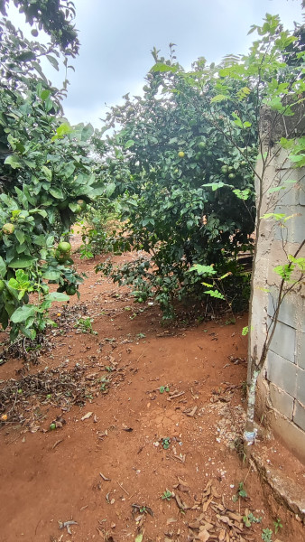 Sítio à venda Centro com 2000m² e 2 quartos por R$ 220.000 - 651712559-1712513216354.jpg