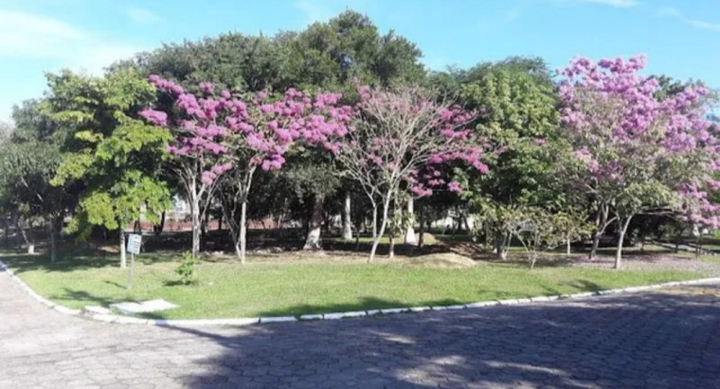 Casa de condomínio à venda Ponta Grossa com 303m² e 5 quartos por R$ 950.000 - 563799997-inbound1903137969515564236.jpg