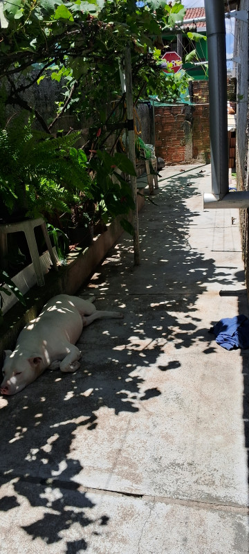 Casa à venda Cidade Industrial de Curitiba com 180m² e 3 quartos por R$ 280.000 - 1200103154-1000002185.jpg