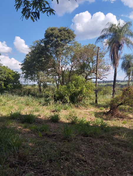 Terreno à venda Conceição do Monte Alegre (Paraguaçu Paulista) com 240m² e 0 quartos por R$ 50.000 - 1322666990-1000176021.jpg