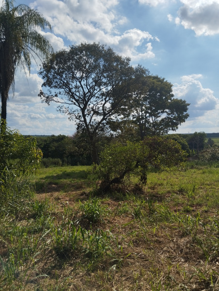 Terreno à venda Conceição do Monte Alegre (Paraguaçu Paulista) com 240m² e 0 quartos por R$ 50.000 - 366370243-1000176024.jpg