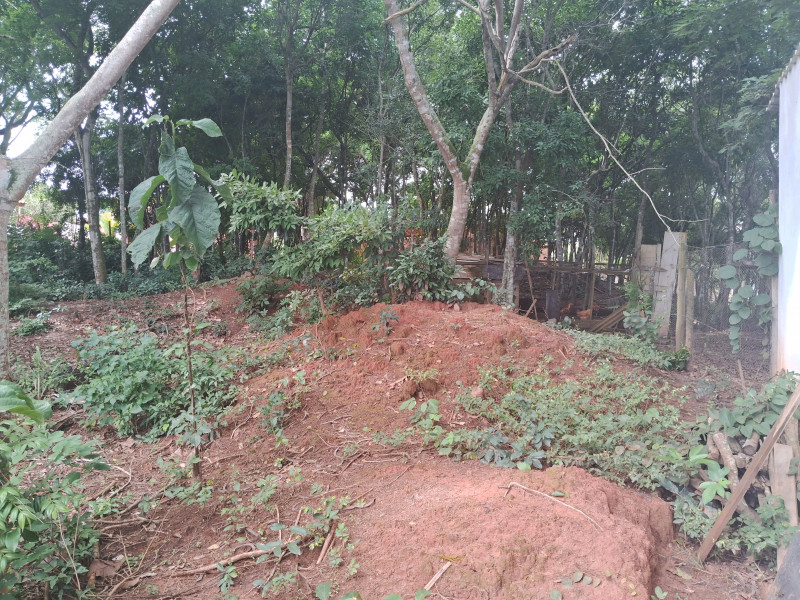 Chácara à venda Centro com 617253m² e 10 quartos por R$ 1.500.000 - 1277344565-20240331-104044.jpg