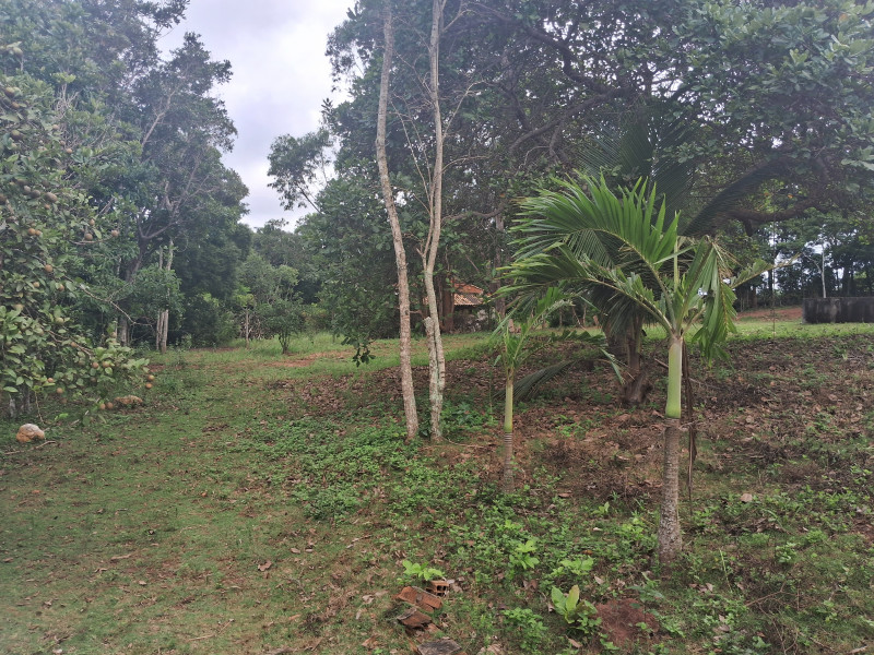Chácara à venda Centro com 617253m² e 10 quartos por R$ 1.500.000 - 1298933819-20240331-105421.jpg