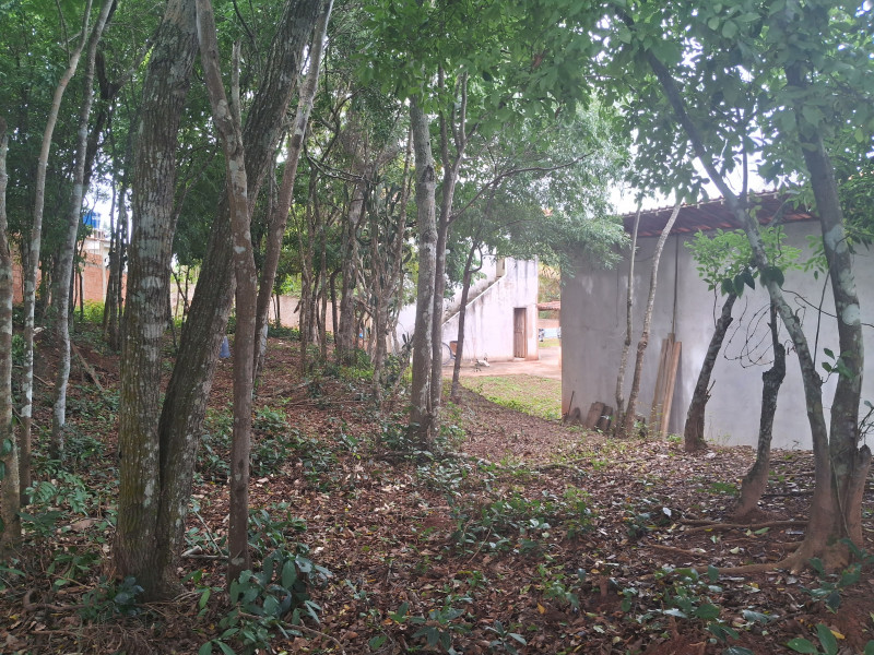Chácara à venda Centro com 617253m² e 10 quartos por R$ 1.500.000 - 1491832262-20240331-104209.jpg