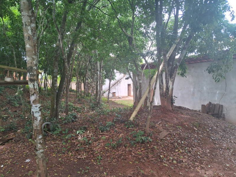 Chácara à venda Centro com 617253m² e 10 quartos por R$ 1.500.000 - 1591905149-20240331-104140.jpg