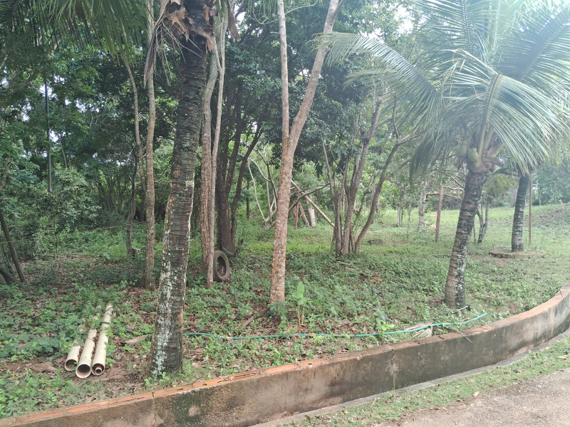Chácara à venda Centro com 617253m² e 10 quartos por R$ 1.500.000 - 1948223906-20240331-105406.jpg