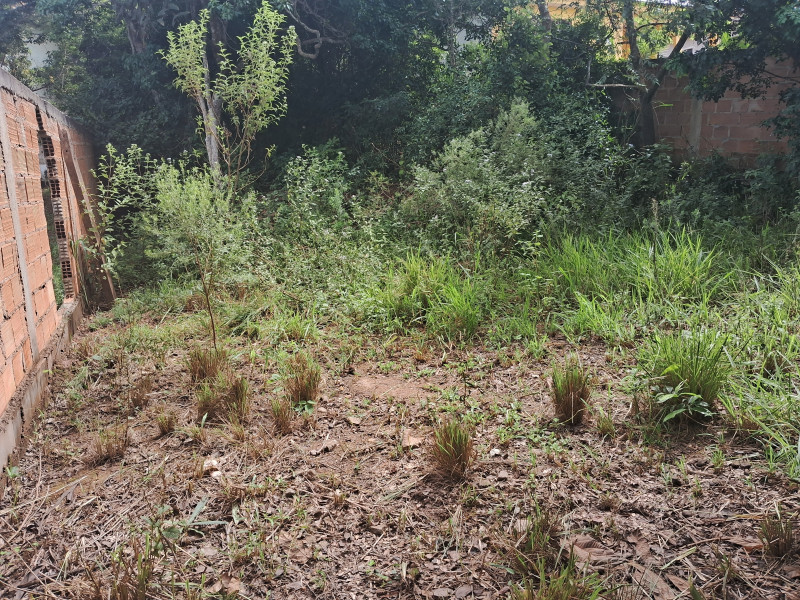 Chácara à venda Centro com 617253m² e 10 quartos por R$ 1.500.000 - 201683825-20240331-104505.jpg