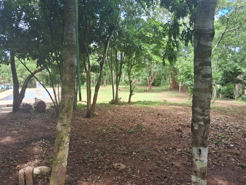 Chácara à venda Centro com 617253m² e 10 quartos por R$ 1.500.000 - 2092877519-20240331-104131.jpg