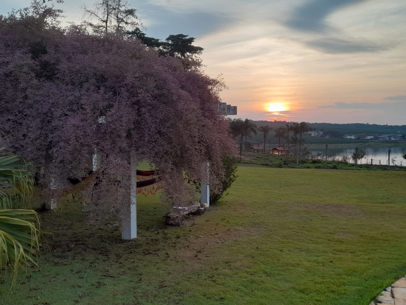 Chácara à venda Jardim São Paulo com 9800m² e 4 quartos por R$ 2.800.000 - whatsapp-image-2024-04-15-at-211029.jpeg