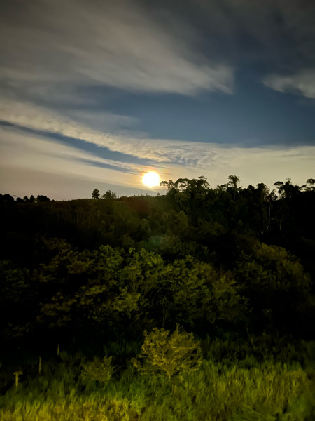 Apartamento à venda Guanabara com 100m² e 2 quartos por R$ 329.000 - 1973984893-img-8182-original.jpg