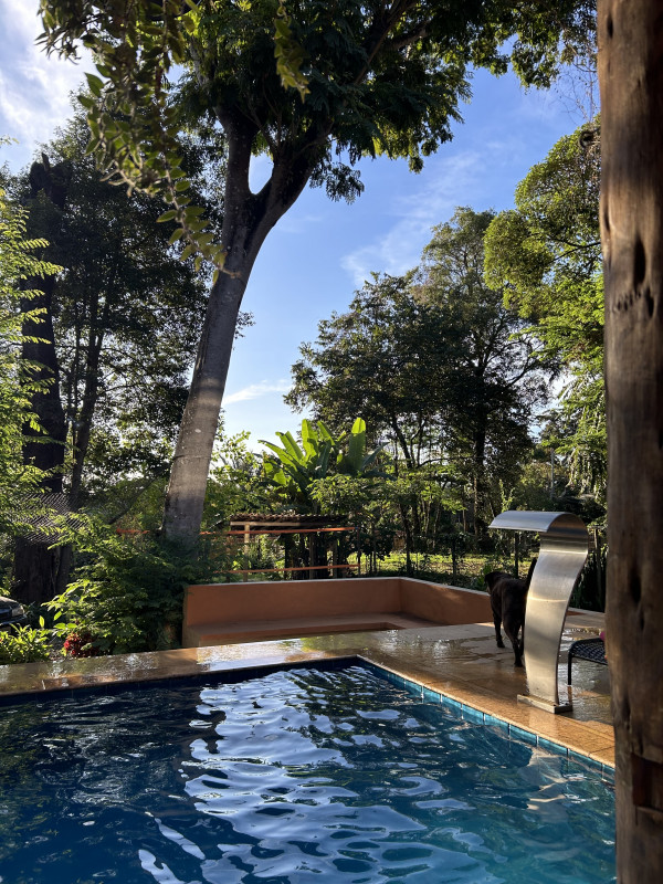 Comercial à venda Povoado Palhano (Piedade do Paraopeba) com 1074m² e 0 quartos por R$ 2.600.000 - 221543797-img-8113.jpeg
