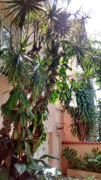 Apartamento à venda Leblon com 130m² e 4 quartos por R$ 3.000.000 - 630774097-img-20231006-wa0062.jpg