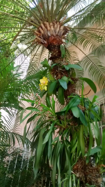 Apartamento à venda Leblon com 130m² e 4 quartos por R$ 3.000.000 - 907810858-img-20231128-wa0022.jpg