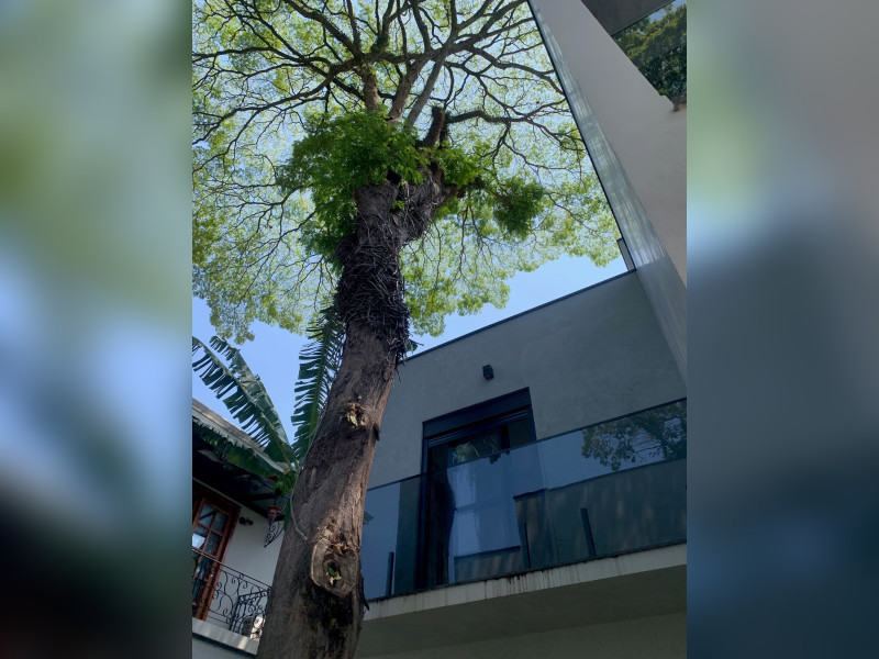 Casa de condomínio à venda Jardim Petrópolis com 260m² e 4 quartos por R$ 3.150.000 - a.jpg