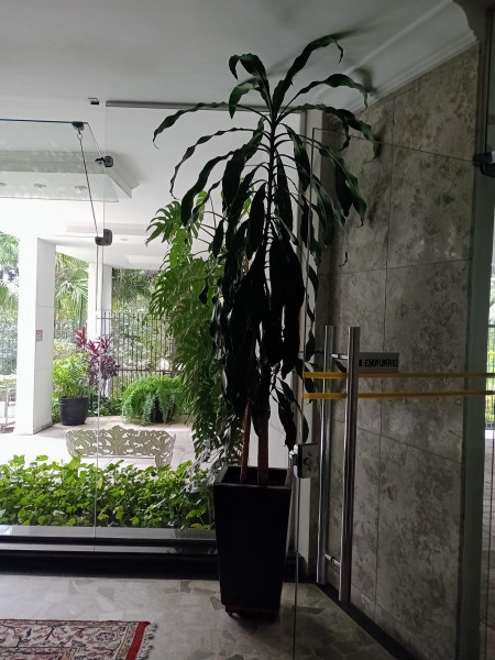 Apartamento à venda Jardim Paulista com 240m² e 3 quartos por R$ 2.640.000 - 708110607-img-20230722-102827517-mfnr2.jpg