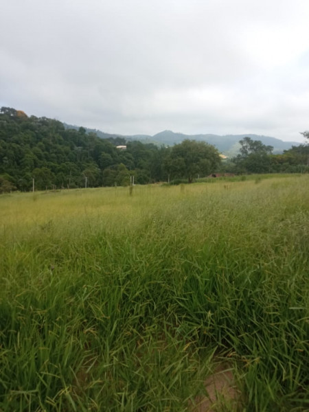 Terreno à venda Área Rural de Jacareí com 1030m² e 1 quarto por R$ 80.000 - 1301468222-11.jpeg