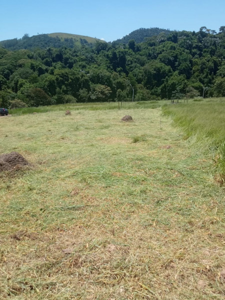 Terreno à venda Área Rural de Jacareí com 1030m² e 1 quarto por R$ 80.000 - 1341949923-16.jpeg