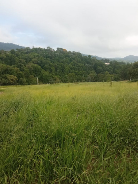 Terreno à venda Área Rural de Jacareí com 1030m² e 1 quarto por R$ 80.000 - 218687828-14.jpeg
