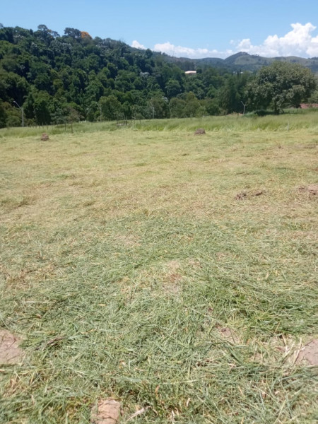 Terreno à venda Área Rural de Jacareí com 1030m² e 1 quarto por R$ 80.000 - 457414689-4.jpeg