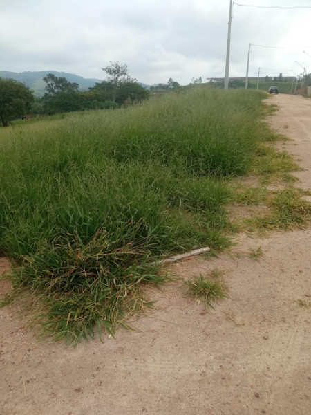 Terreno à venda Área Rural de Jacareí com 1030m² e 1 quarto por R$ 80.000 - 757192781-13.jpeg