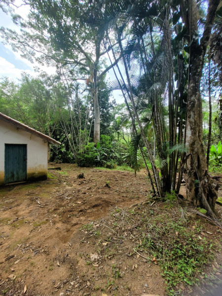 Terreno à venda Centro com 7219764m² e 1 quarto por R$ 700.000 - 1609516156-sitio-igarata2.jpg
