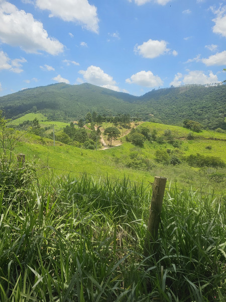 Terreno à venda Centro com 7219764m² e 1 quarto por R$ 700.000 - 393799668-igarata-3.jpg