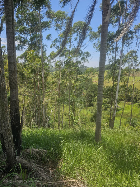 Terreno à venda Centro com 7219764m² e 1 quarto por R$ 700.000 - 996772249-igarata-5.jpg