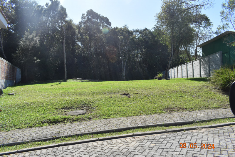 Terreno à venda Butiatuvinha com 589m² e 1 quarto por R$ 1.590.000 - 203066161-dsc-0017.JPG
