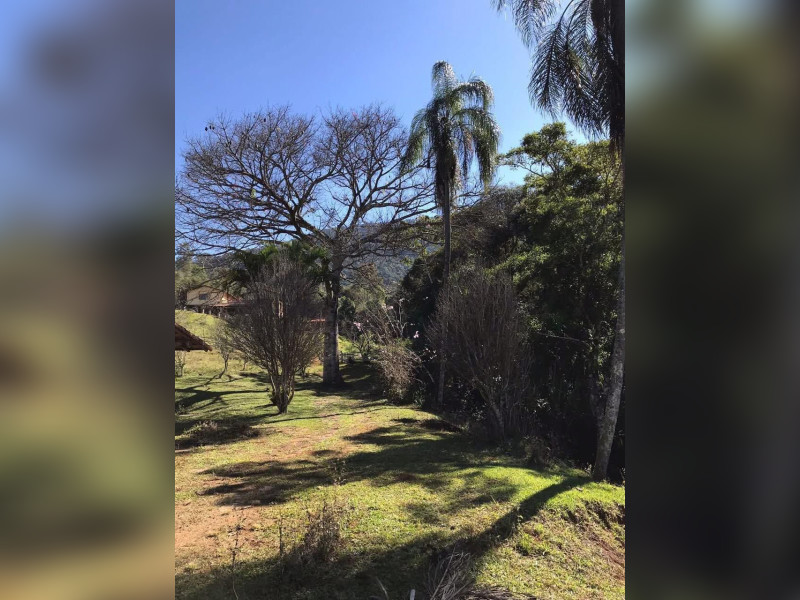 imóvel com 20000m² - Centro - Extrema