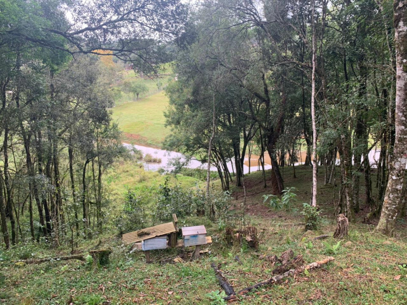 Chácara à venda Centro com 33000m² e 3 quartos por R$ 720.000 - 1930491839-f17f6f11-dbfa-4eef-9618-b1d1e04a8713.jpeg