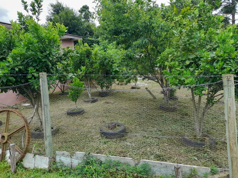 Chácara à venda Centro com 33000m² e 3 quartos por R$ 720.000 - 1935838753-a416f490-dad1-4457-ae49-4d93ccc93354.jpeg