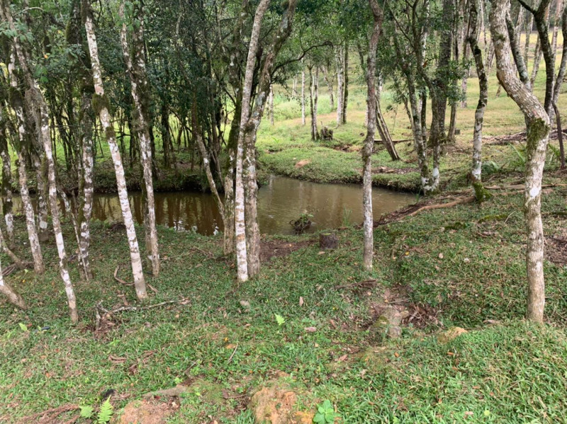 Chácara à venda Centro com 33000m² e 3 quartos por R$ 720.000 - 1979421333-80c3a186-d9ae-4ae0-b2ab-c96f7b696ada.jpeg