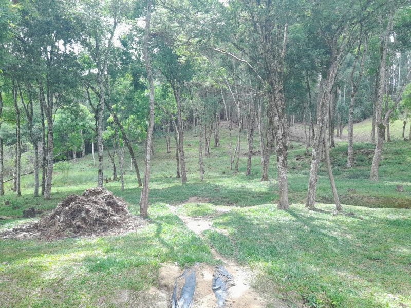 Chácara à venda Centro com 33000m² e 3 quartos por R$ 720.000 - 2058274521-58a61249-5cca-410f-aa9d-1271767403f3.jpeg