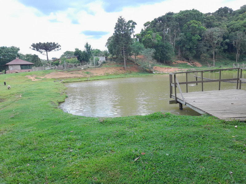 Chácara à venda Centro com 33000m² e 3 quartos por R$ 720.000 - 319390789-82983495-28fc-49d3-9812-938bf8e4e656.jpeg