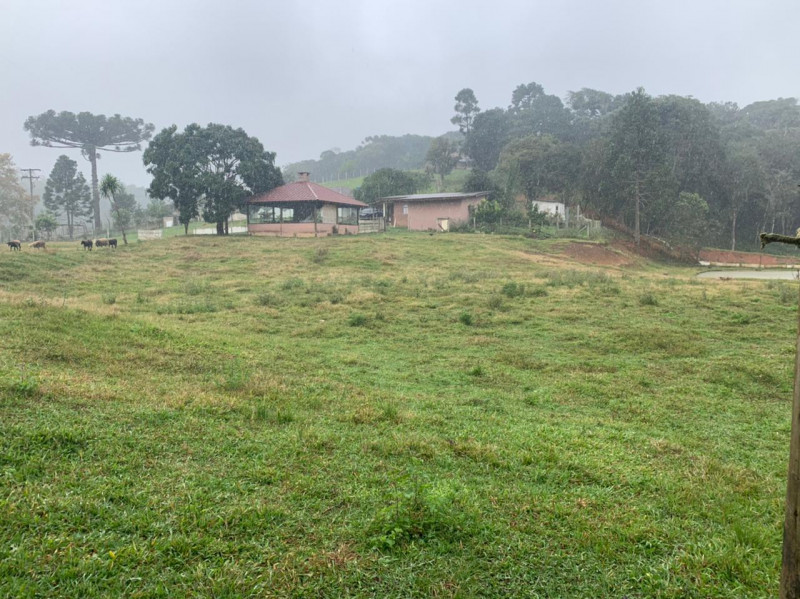 Chácara à venda Centro com 33000m² e 3 quartos por R$ 720.000 - 616580263-cf37e757-fc48-4195-9c43-b2f28084a47d.jpeg