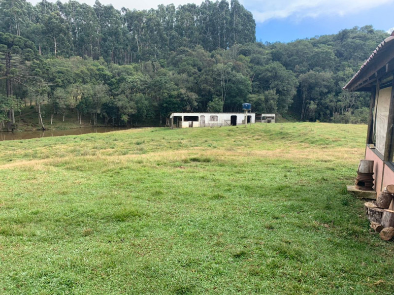 Chácara à venda Centro com 33000m² e 3 quartos por R$ 720.000 - 95433795-210f5666-8729-4024-ac71-7f71028a5290.jpeg