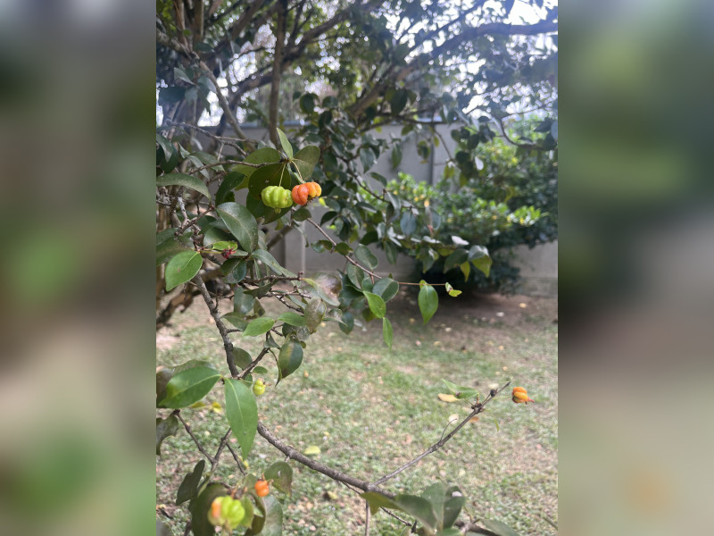 Casa à venda Tingui com 275m² e 4 quartos por R$ 997.500 - 20240513-160304270-ios.jpg