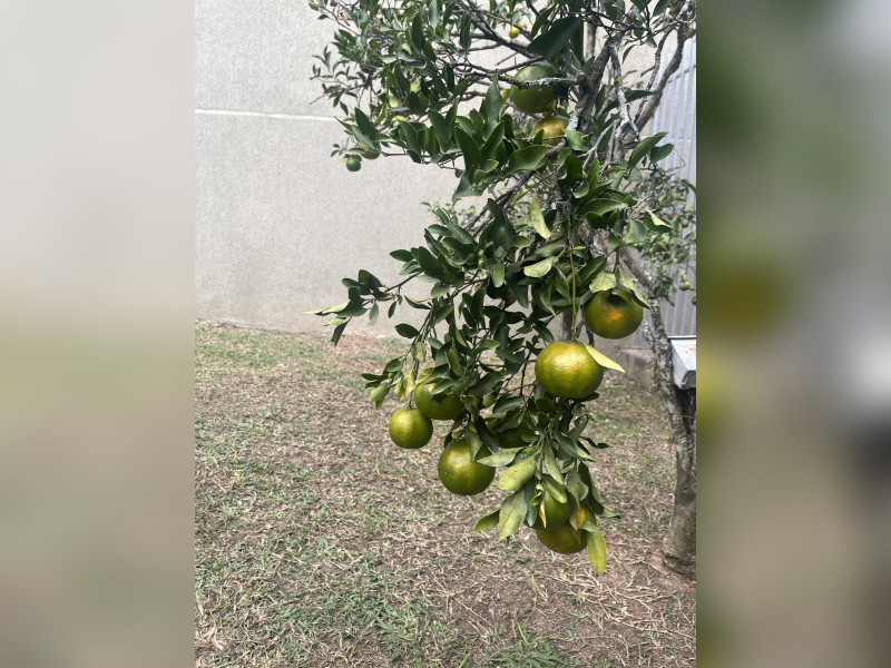 Casa à venda Tingui com 275m² e 4 quartos por R$ 997.500 - 20240513-160450860-ios.jpg