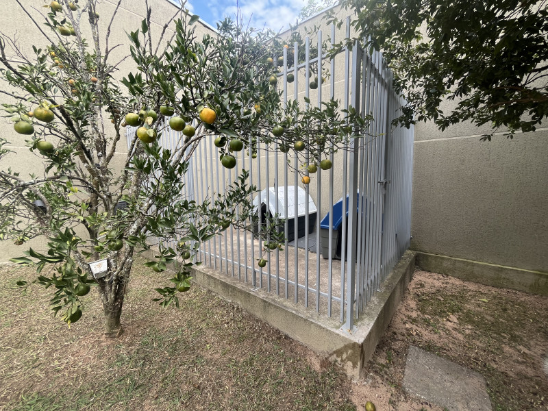 Casa à venda Tingui com 275m² e 4 quartos por R$ 997.500 - 20240513-160542542-ios.jpg