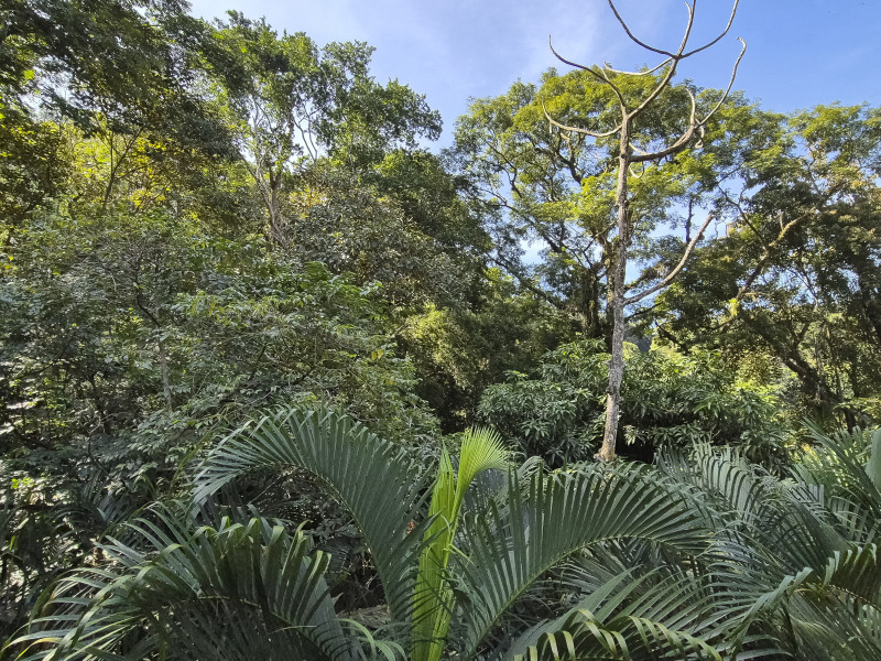 Casa de condomínio à venda Vila Tijuco com 403m² e 6 quartos por R$ 2.900.000 - guaeca-casa-praia-58.jpg