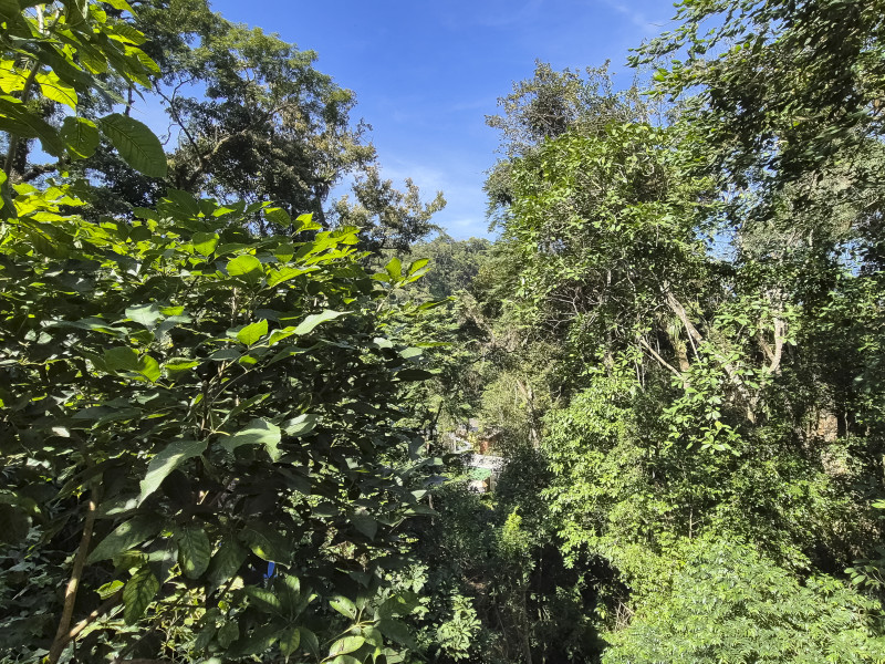 Casa de condomínio à venda Vila Tijuco com 403m² e 6 quartos por R$ 2.900.000 - guaeca-casa-praia-59.jpg