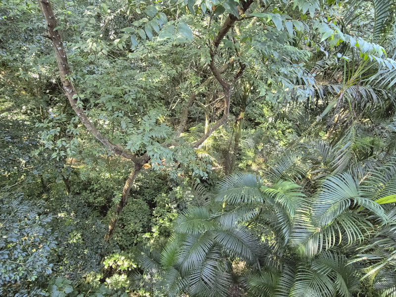 Casa de condomínio à venda Vila Tijuco com 403m² e 6 quartos por R$ 2.900.000 - guaeca-casa-praia-66.jpg