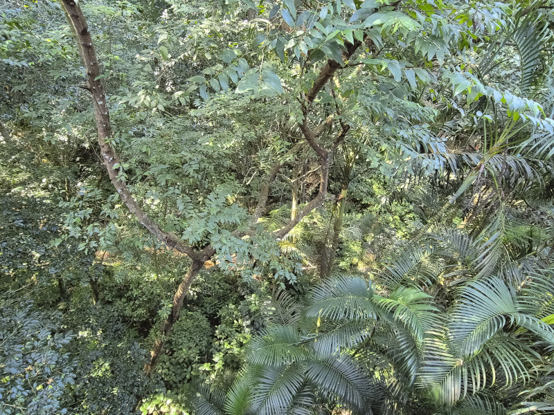 Casa de condomínio à venda Vila Tijuco com 403m² e 6 quartos por R$ 2.900.000 - guaeca-casa-praia-67.jpg