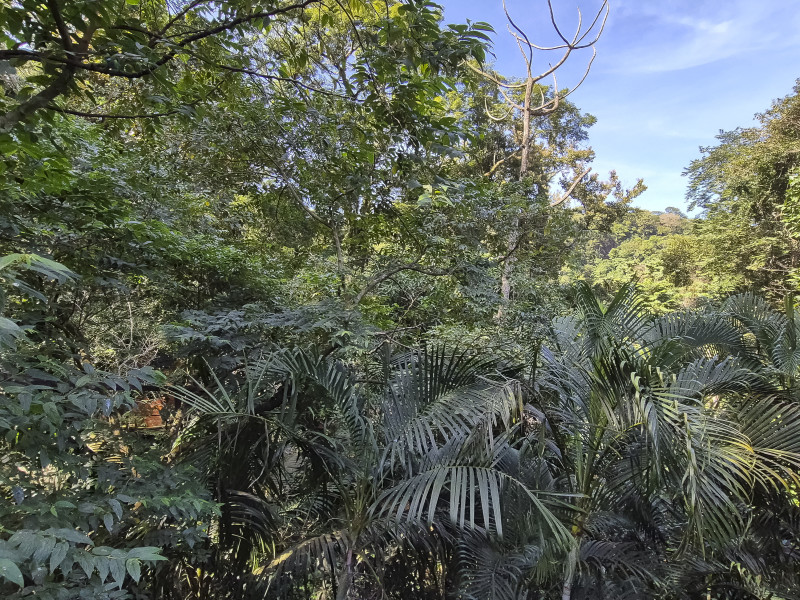 Casa de condomínio à venda Vila Tijuco com 403m² e 6 quartos por R$ 2.900.000 - guaeca-casa-praia-68.jpg