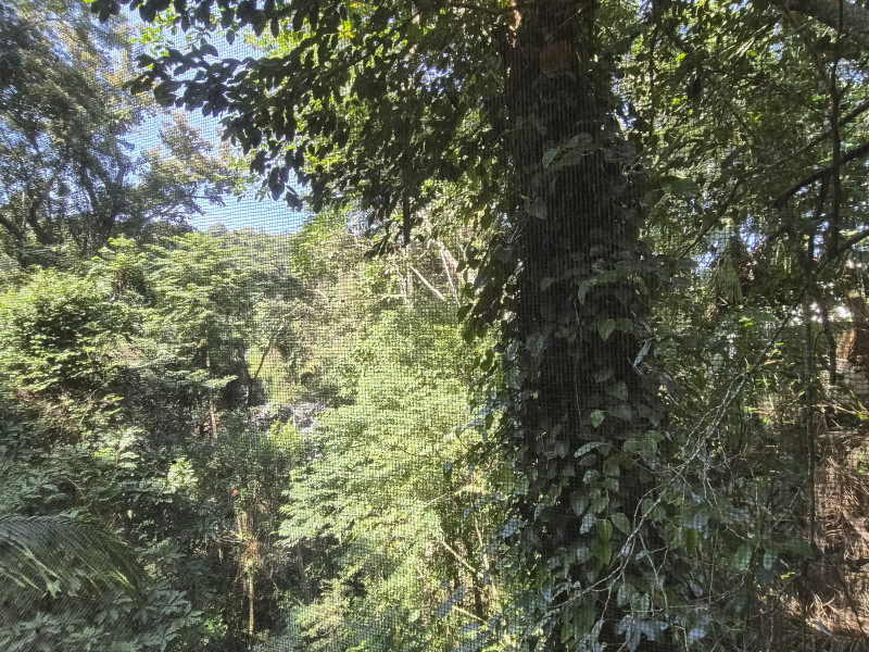 Casa de condomínio à venda Vila Tijuco com 403m² e 6 quartos por R$ 2.900.000 - guaeca-casa-praia-82.jpg