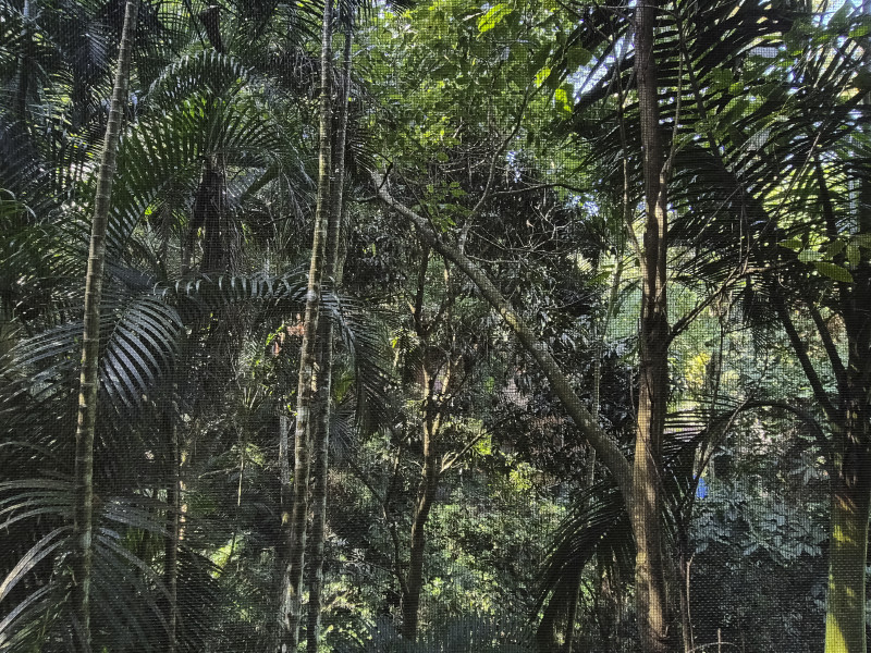 Casa de condomínio à venda Vila Tijuco com 403m² e 6 quartos por R$ 2.900.000 - guaeca-casa-praia-94.jpg